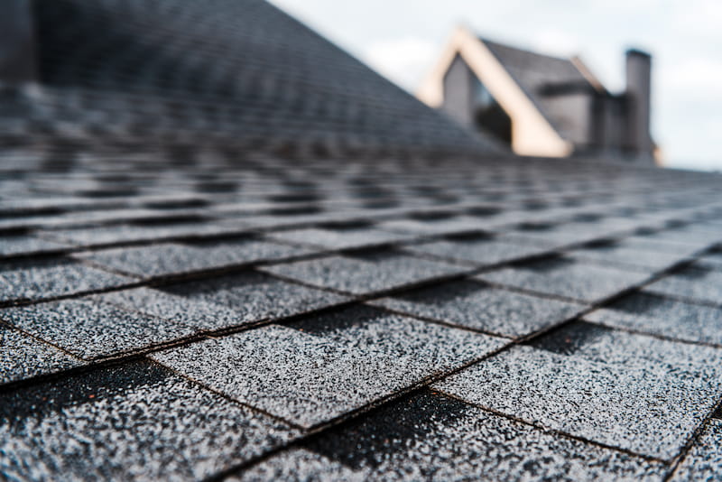 What Lurks Beneath Your Roof Shingles?